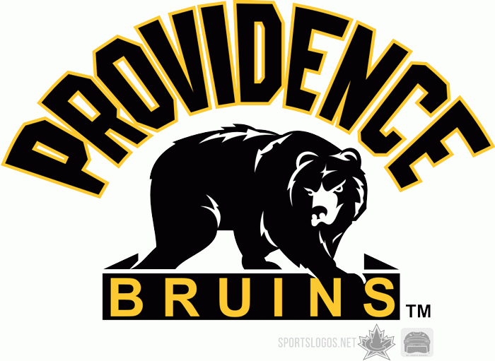 Providence Bruins 2007 08 Alternate Logo iron on transfers for clothing